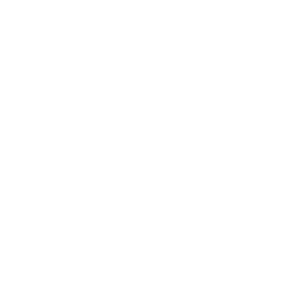 SEO Auditing