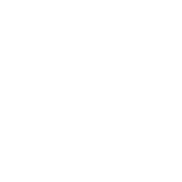 SEO Consultation