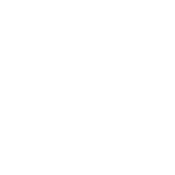 Google My Business Page